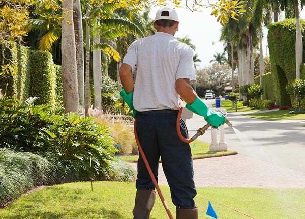 About Keyes CA Pest Control